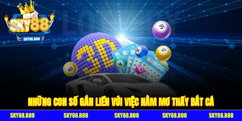 Những con số gắn liền với việc nằm mơ thấy bắt cá