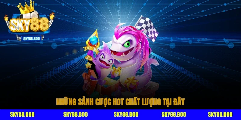 Những sảnh cược hot, chất lượng tại đây