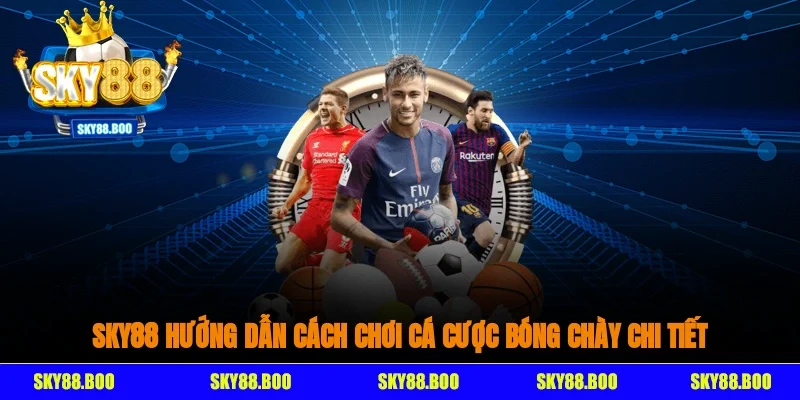 SKY88 hướng dẫn cách chơi cá cược bóng chày chi tiết